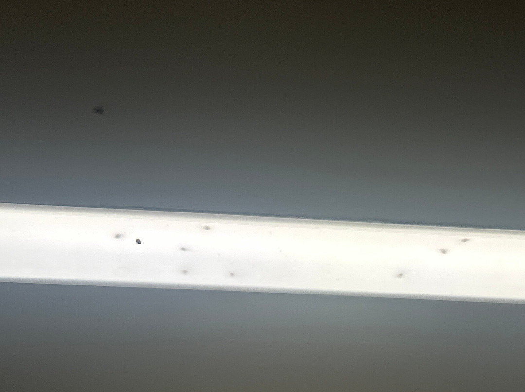 SpringHill Suites by Marriott Jackson主图