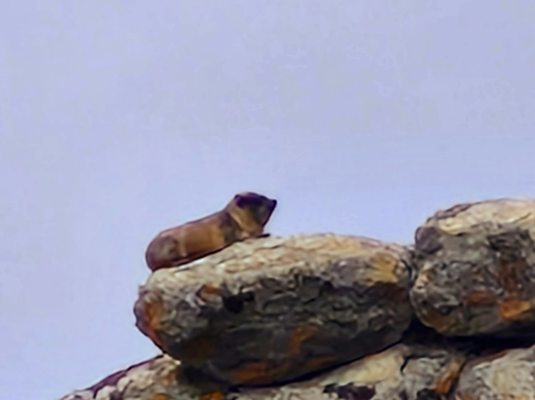 Addis Tour Guide-亚的斯亚贝巴必去景点