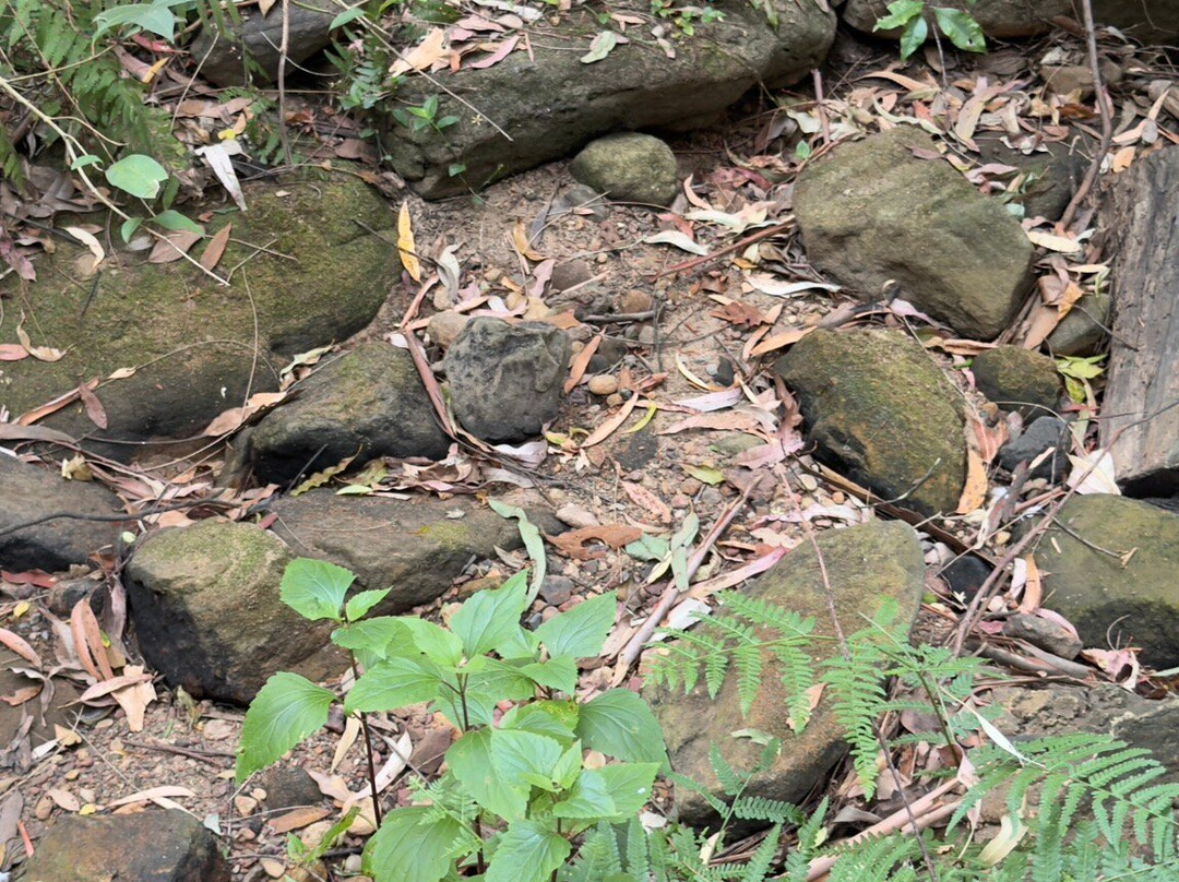 兰湾国家公园-Macquarie Park必去景点