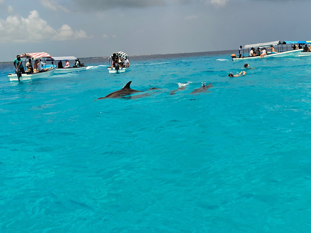 Mnemba Island-姆内巴必去景点
