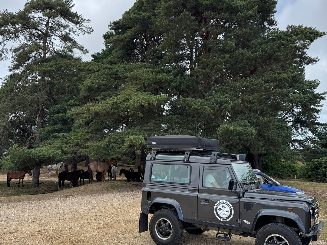 LandyCampers-Broxted必去景点