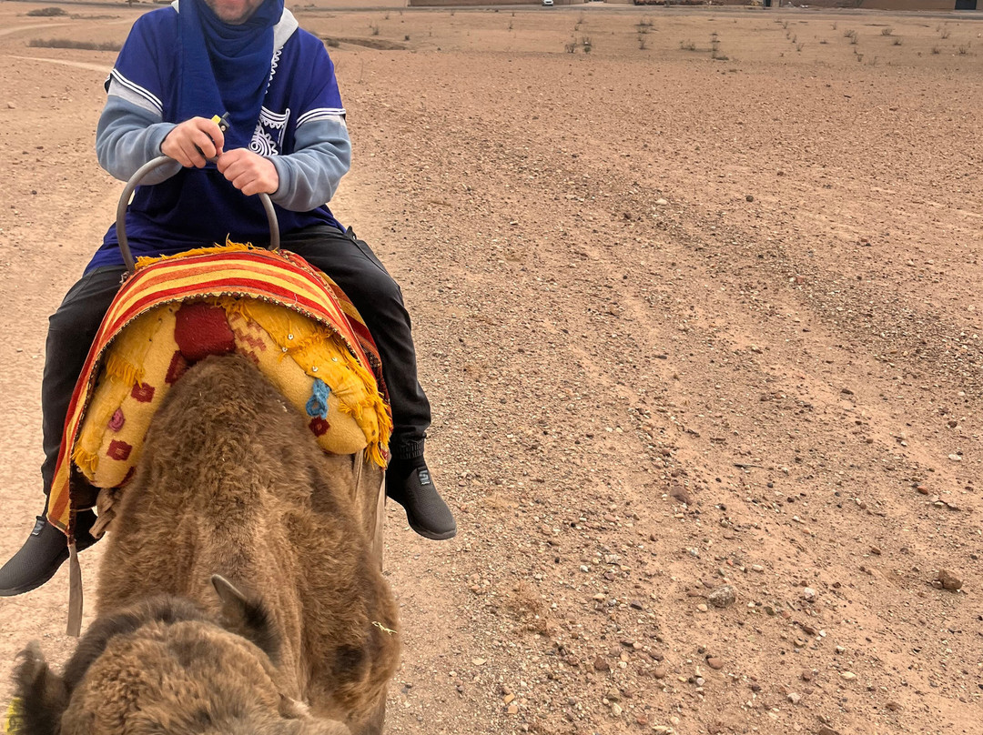 Marrakech Desert Trips-马拉喀什必去景点