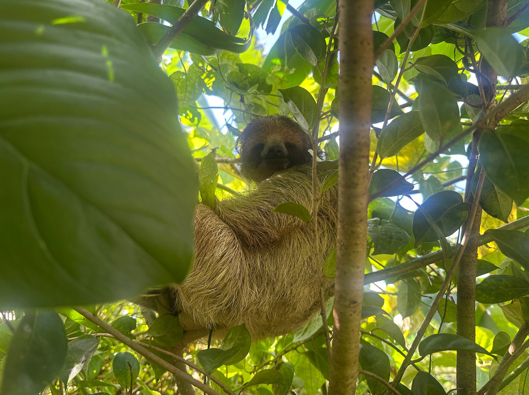 Blessing Tours-Area de Conservacion Guanacaste必去景点