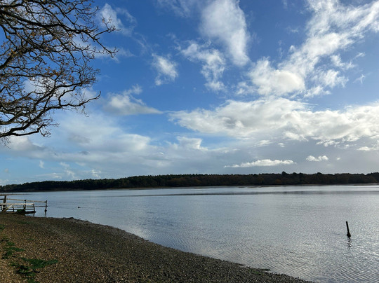 Purbeck Safari-韦勒姆必去景点
