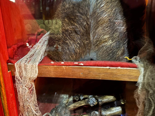 Pristine Nepal Treks & Expedition-加德满都必去景点