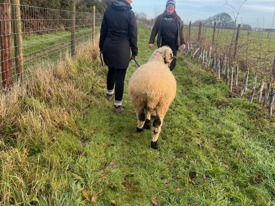 Marvellous Miniatures And Friends-Husthwaite必去景点