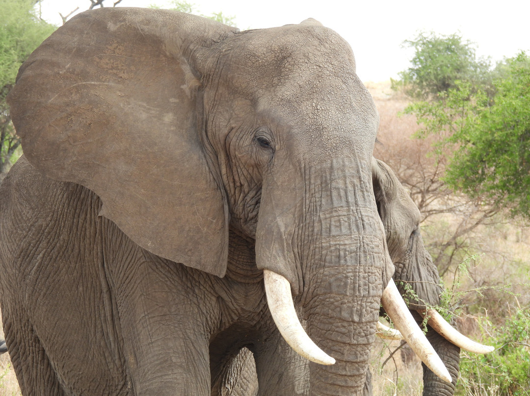 Keei Gee Mountain Expeditions-Naro Moru必去景点