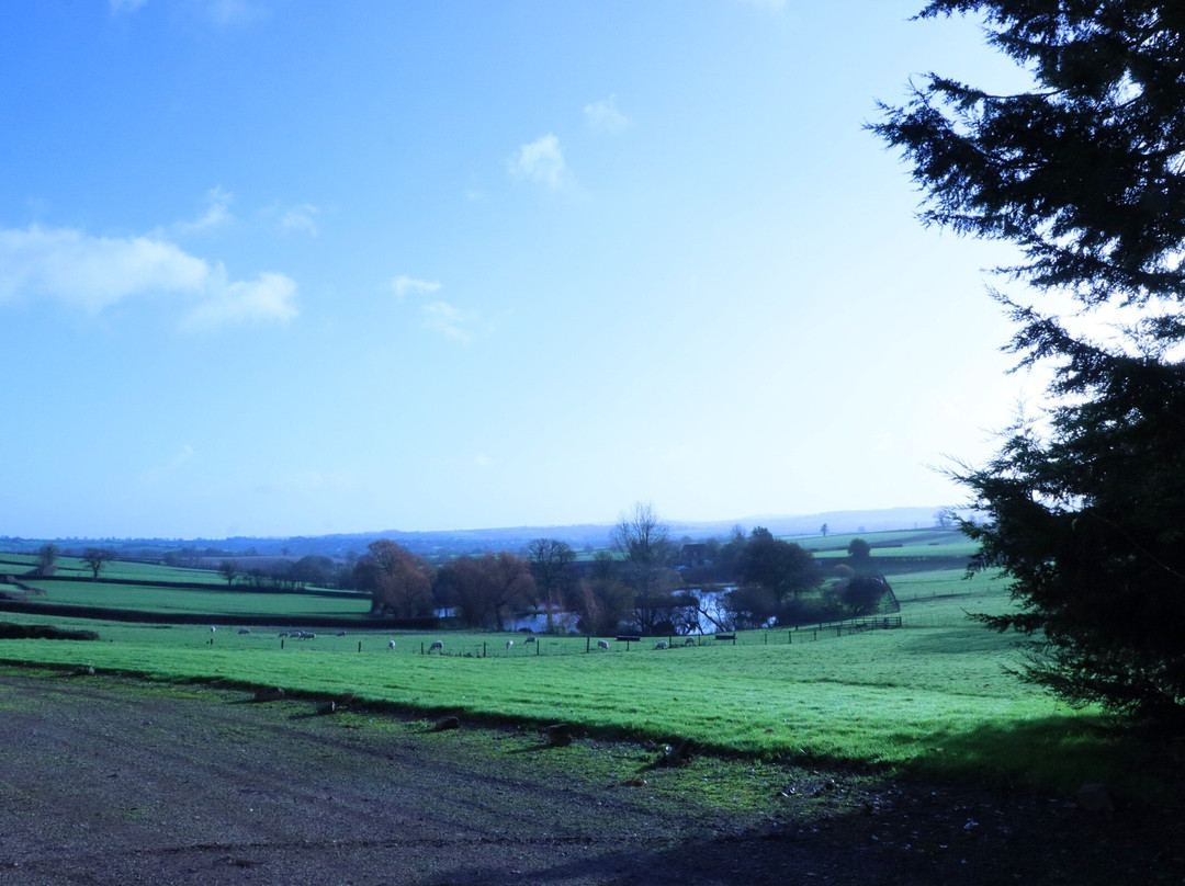 Nichols Nymet House主图