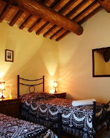 Tenuta Savorgnano主图