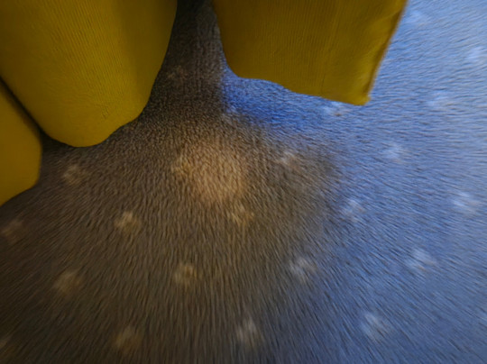 Romantisches Hotel Menzhausen主图