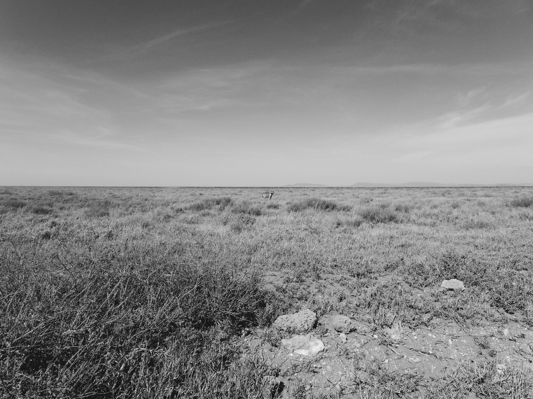 Kimgoni Tanzania Safaris-阿鲁沙必去景点