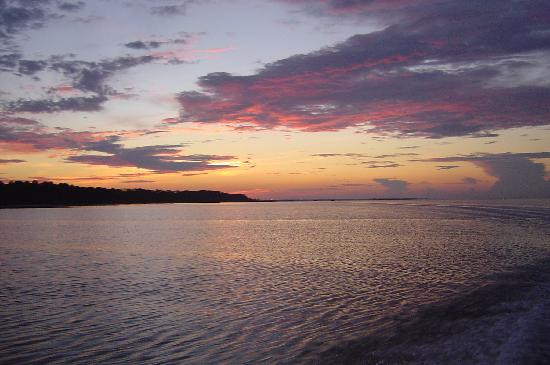 House of Tartts主图