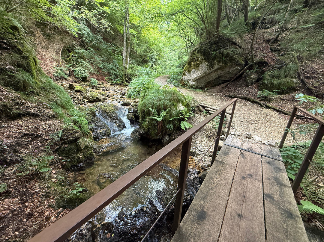 Cascata Di Brazzavalle-Valli del Pasubio必去景点