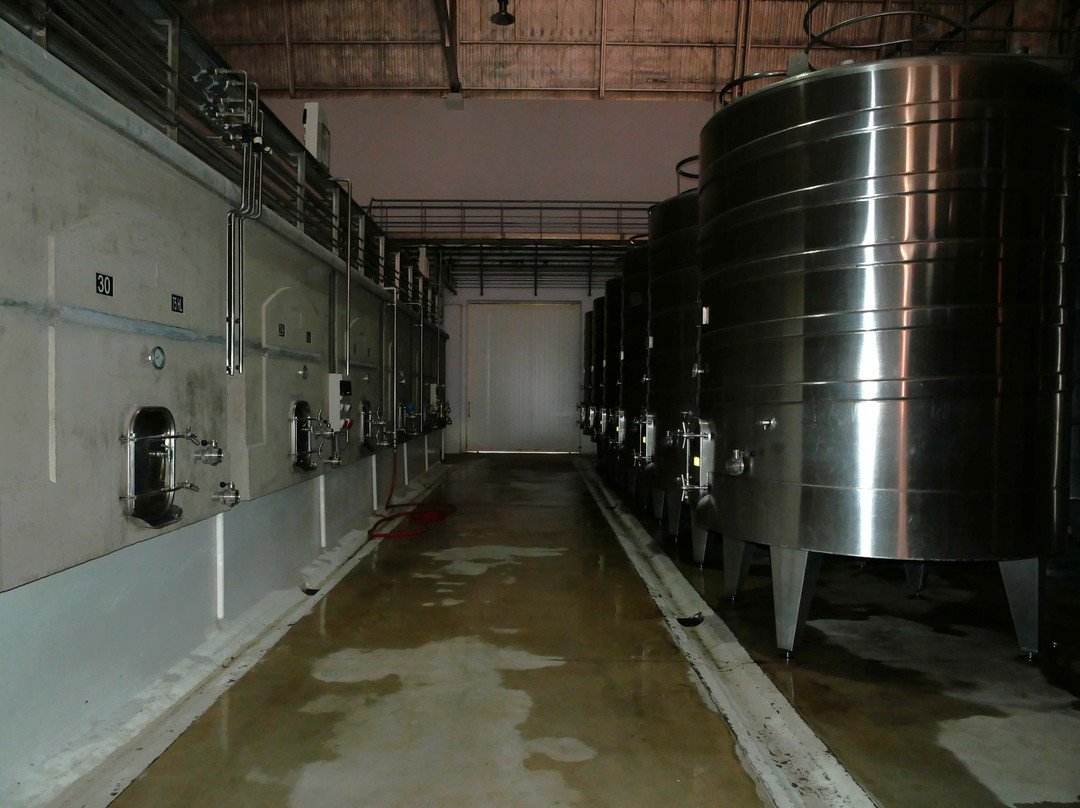 Viñas En Flor Bodega-卡法亚特必去景点