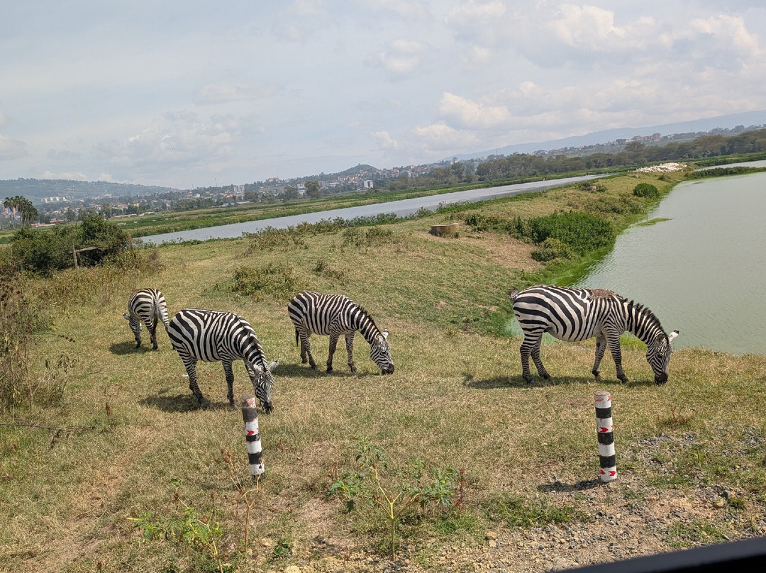 Tuthie afrika-纳库鲁必去景点