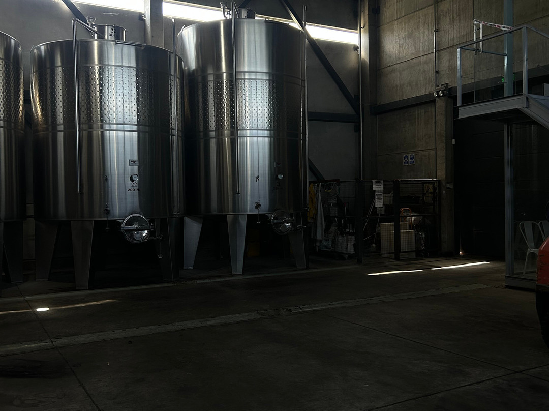 Huarpe Riglos Family Wines-阿格雷洛必去景点