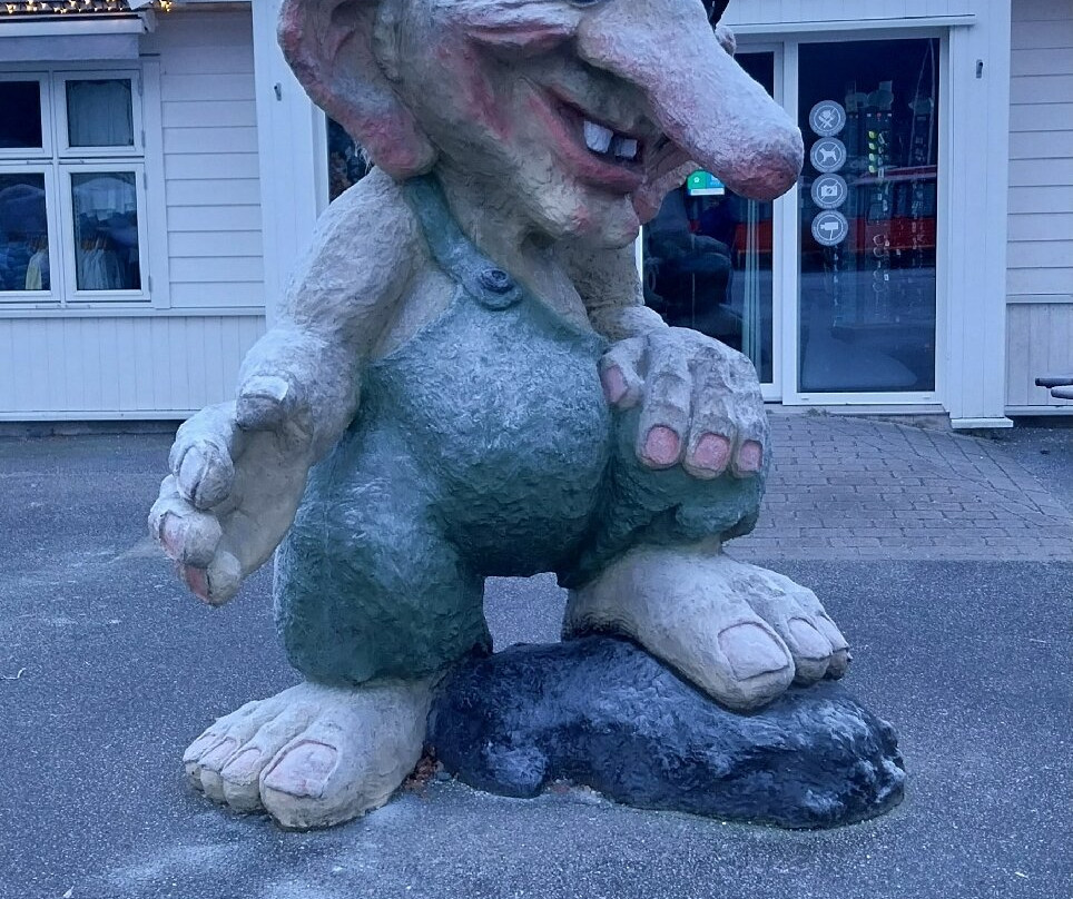 FjordSafari-弗洛姆必去景点