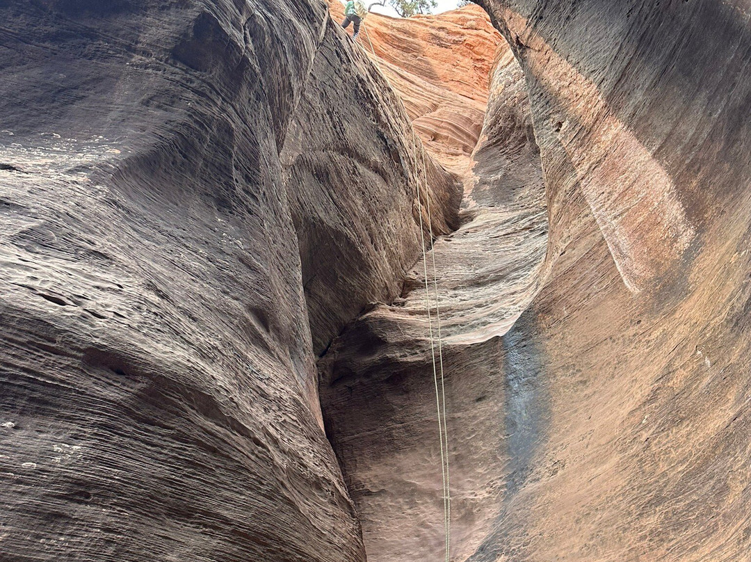 Red Desert Adventure-斯普林代尔必去景点