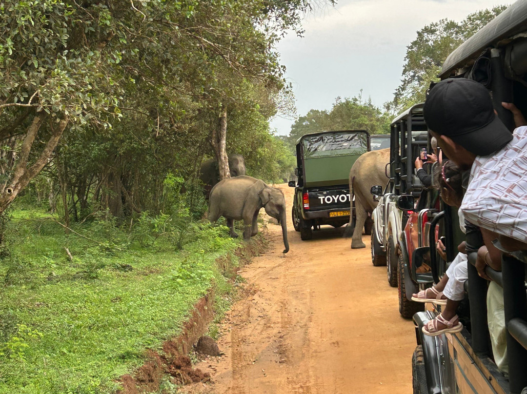 Eddy's Expeditions-加勒必去景点