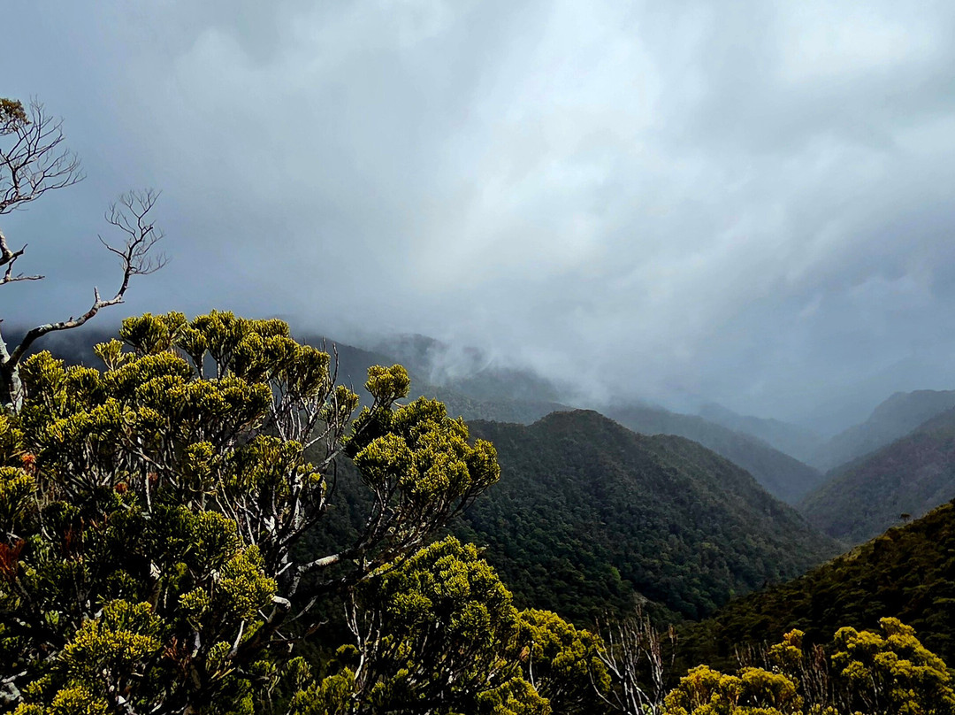 The Old Ghost Road-韦斯特波特必去景点