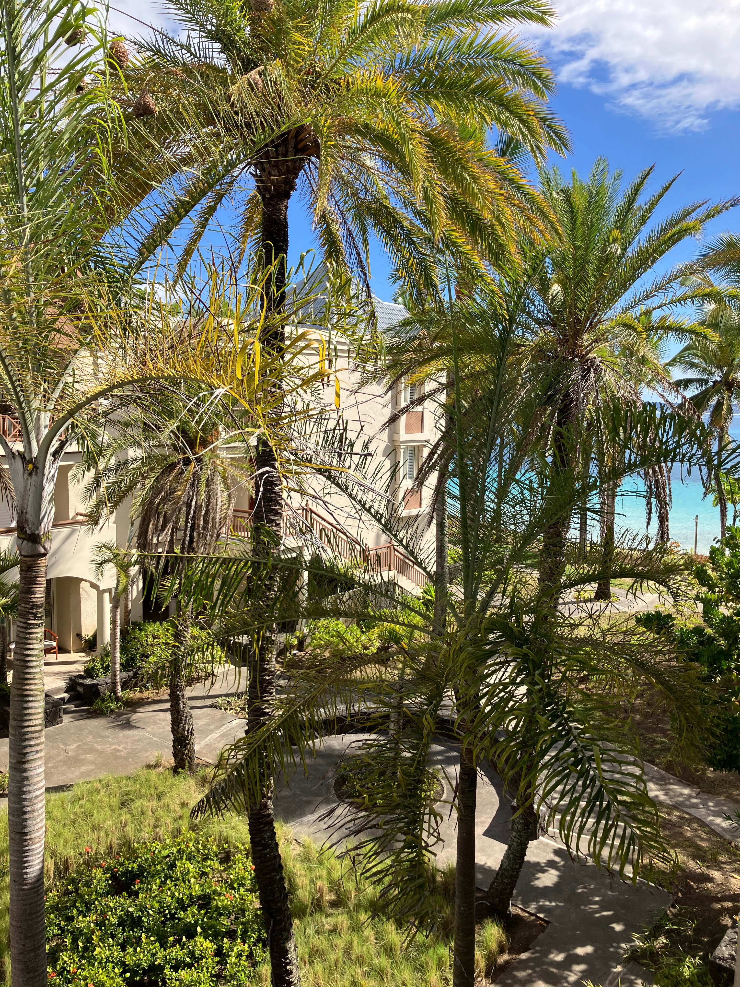 毛里求斯公馆-官方