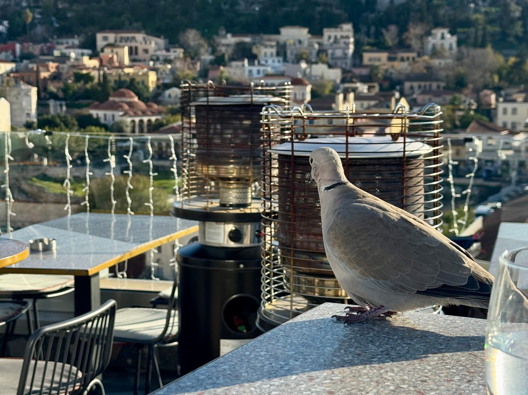 雅典之A酒店主图