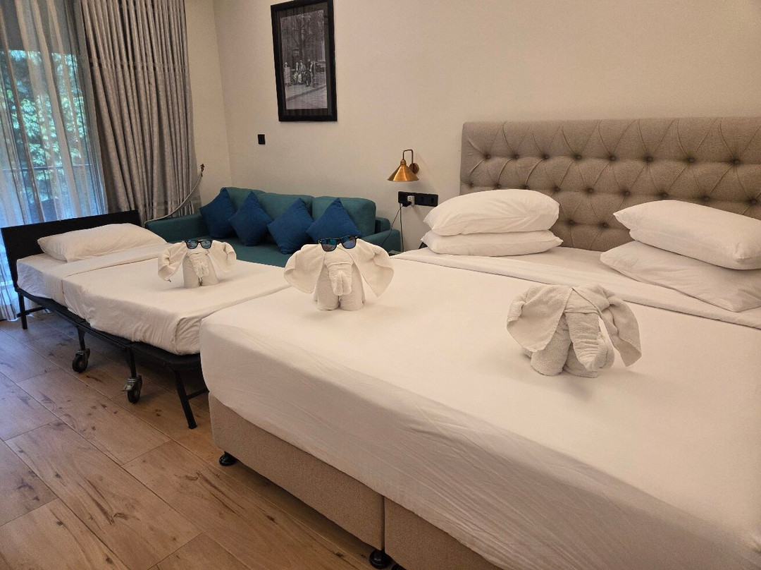 Moksha At Kitulgala主图