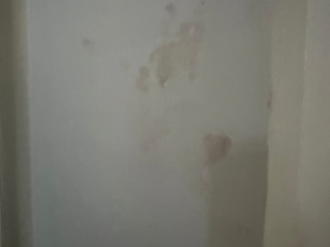 Ibis Styles London Croydon主图