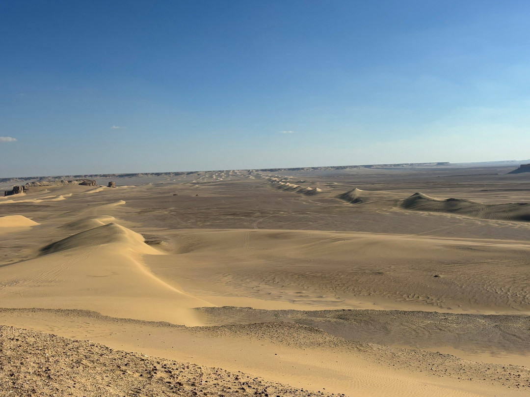 Explore Fayoum Tours-法尤姆必去景点