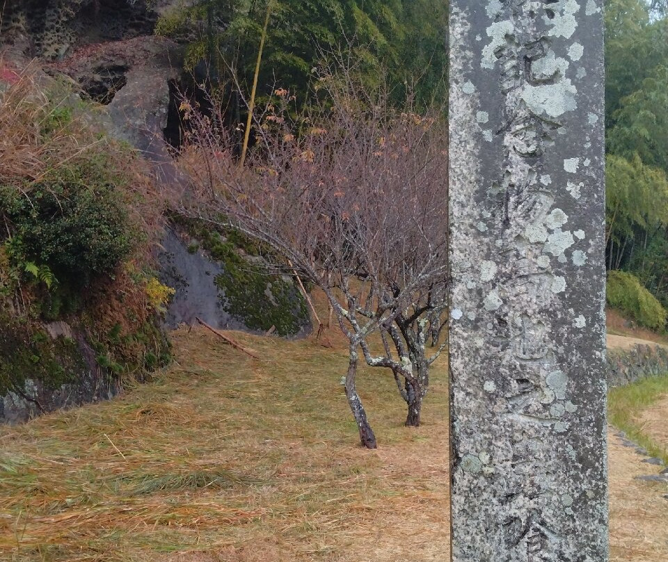 Mushikui-iwa-古座川町必去景点