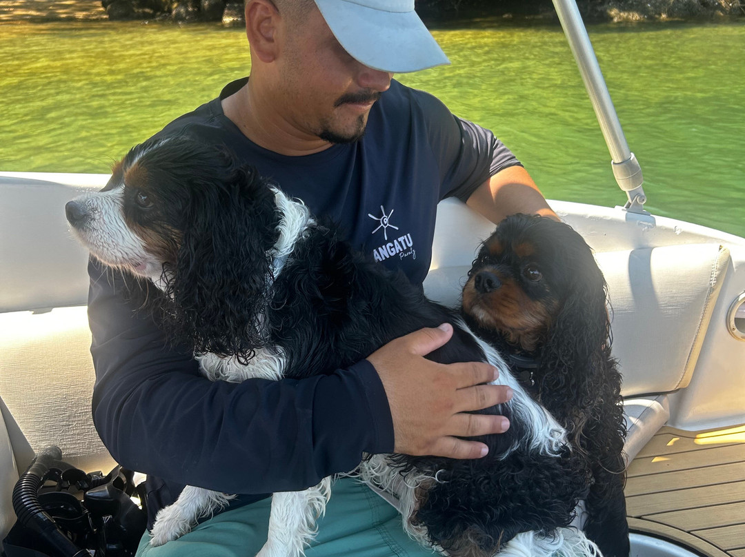 Passeios Paraty.RJ-帕拉地必去景点