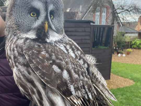 West Sussex Falconry-Compton必去景点