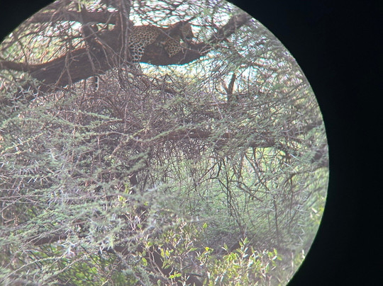 Rhino Safaris-内罗毕必去景点