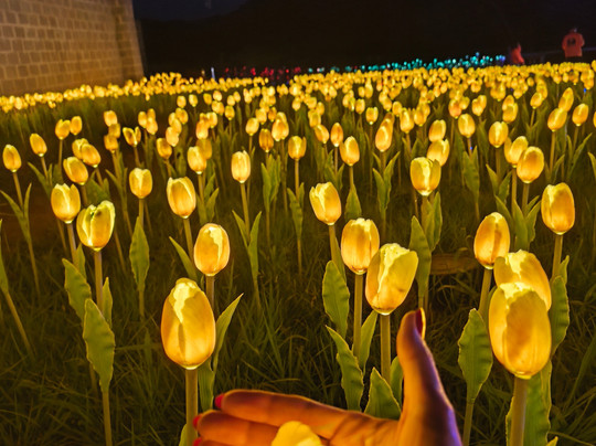 Lumni Gramado-格拉玛多必去景点