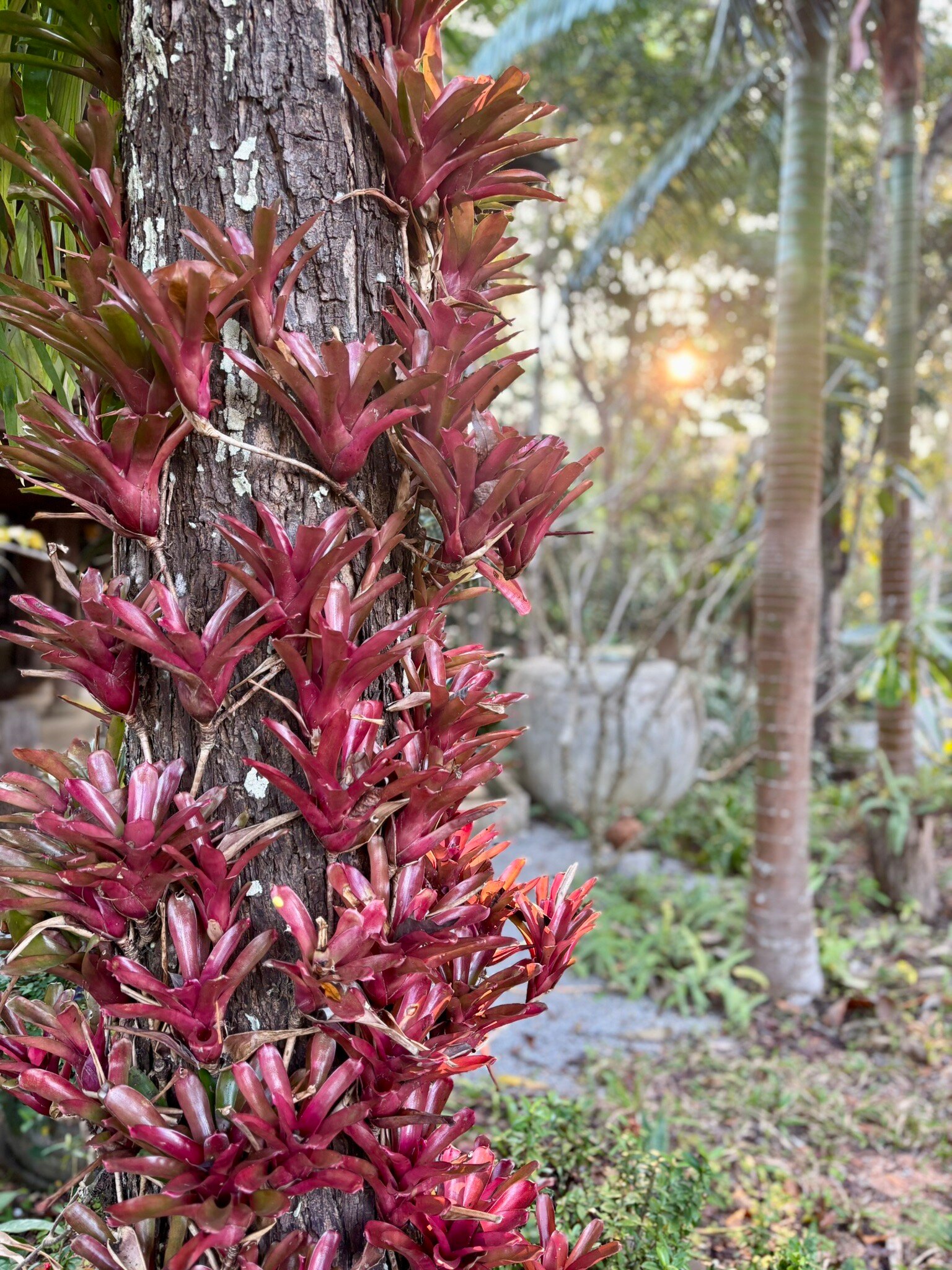 Bambuh Boutique Homestay-官方