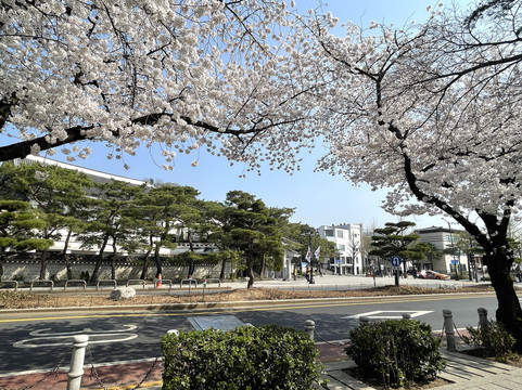 K.o.n.g. Gallery-首尔必去景点