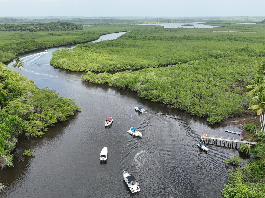 Lanchas Maria Hellena-Camamu必去景点
