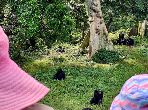 Muzbag Safaris-坎帕拉必去景点