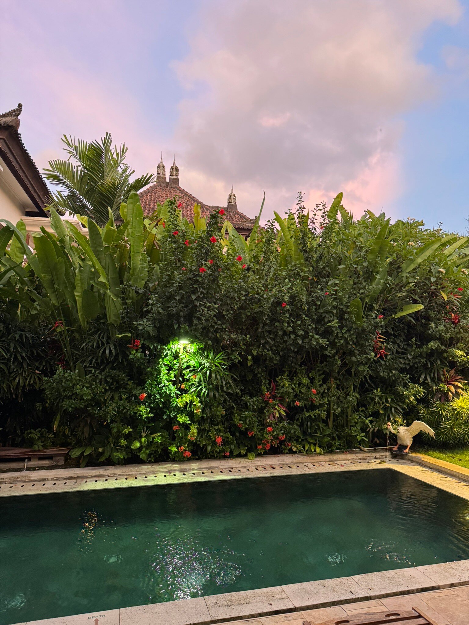 巴厘岛卡拉马斯天鹅别墅-官方