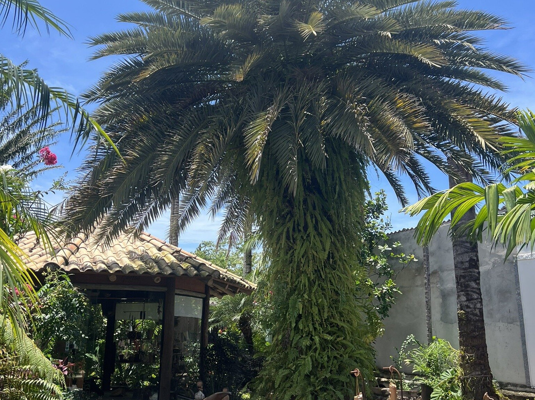 Espaço Hartãt - Acervo Indígena-Caraguatatuba必去景点