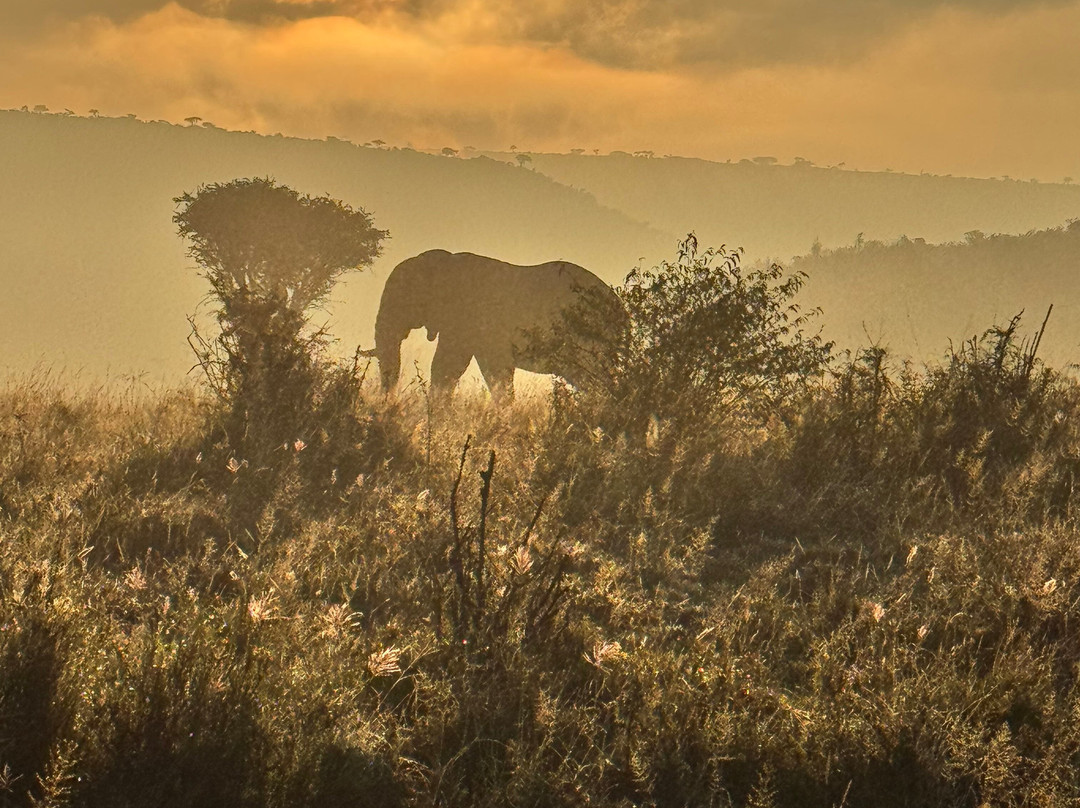 Kampur Travel Diaries-内罗毕必去景点