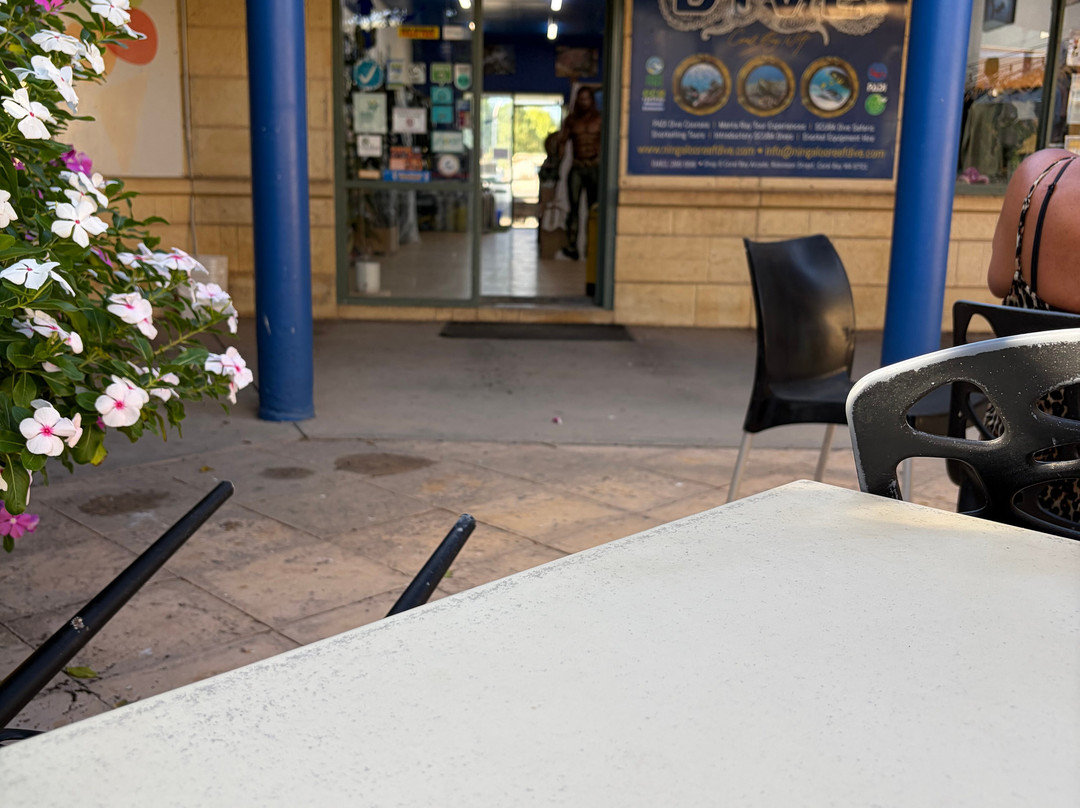 Ningaloo Reef Dive-珊瑚湾必去景点