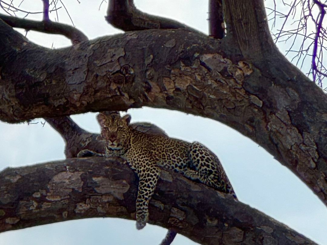 Nana Tours Zanzibar-Kendwa必去景点