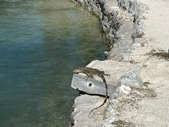 Chesapeake Beach Resort主图