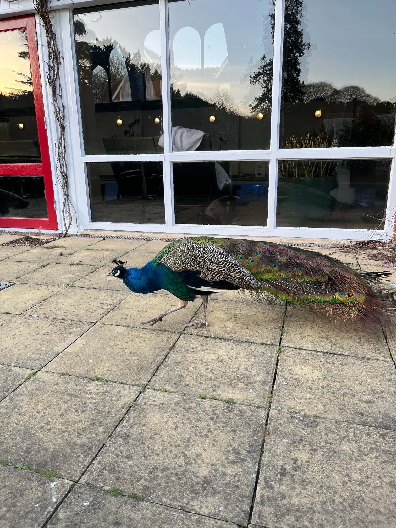 Pendley Manor Hotel-官方