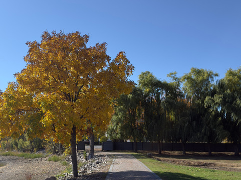 沃德勒伊酒庄酒店主图