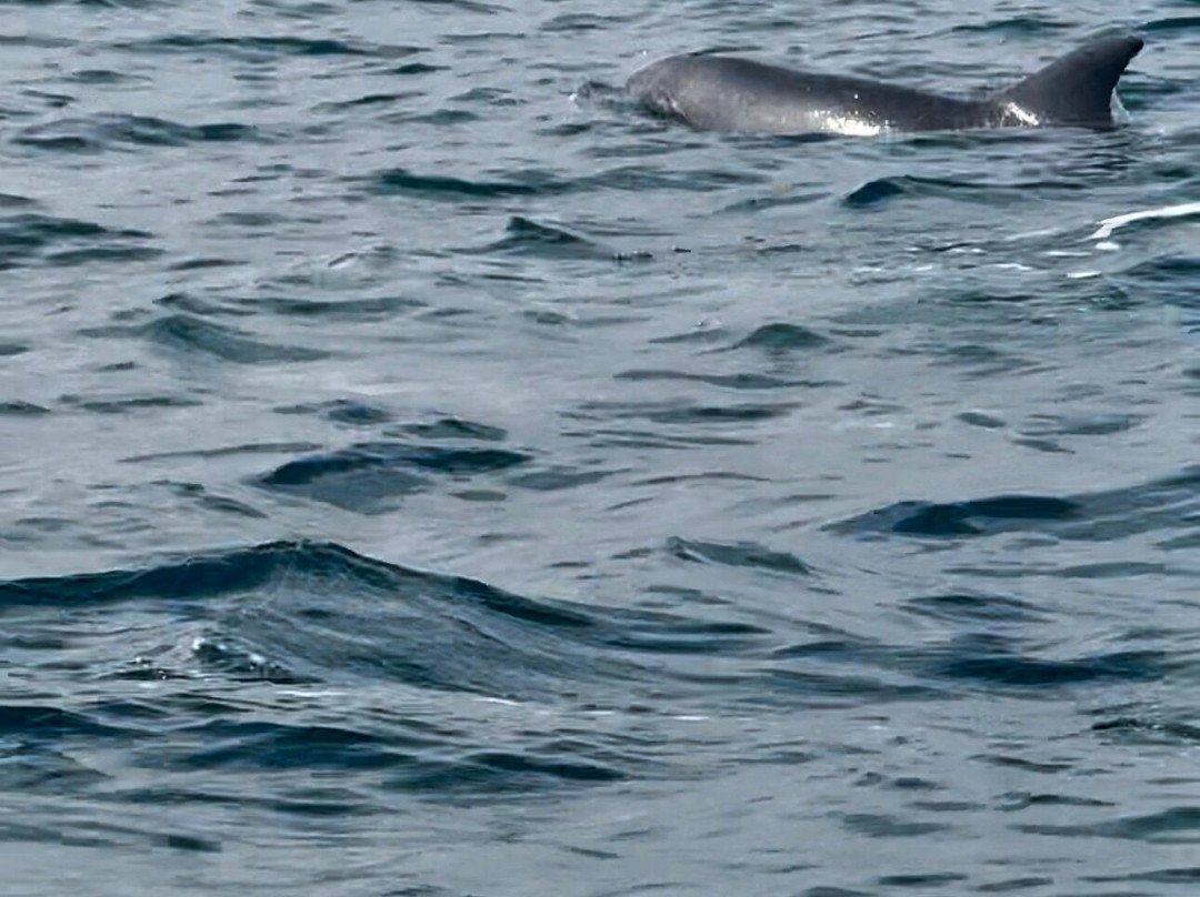 Discovery Kenya con Fragola-瓦塔木必去景点