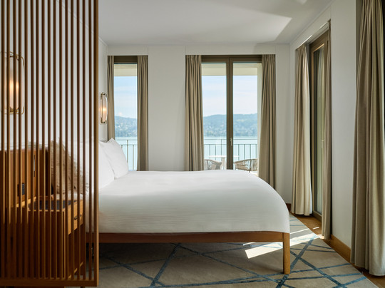 Alex Lake Zürich主图