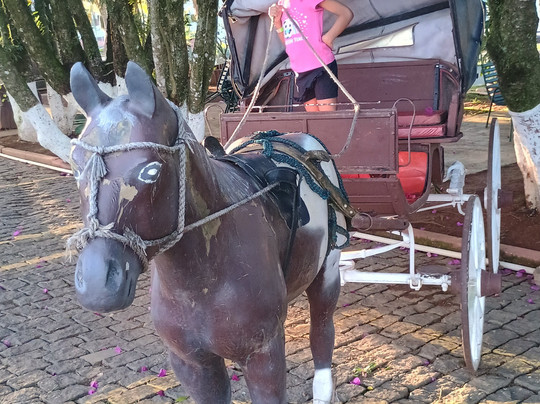 Hotel Fazenda Poços de Caldas主图