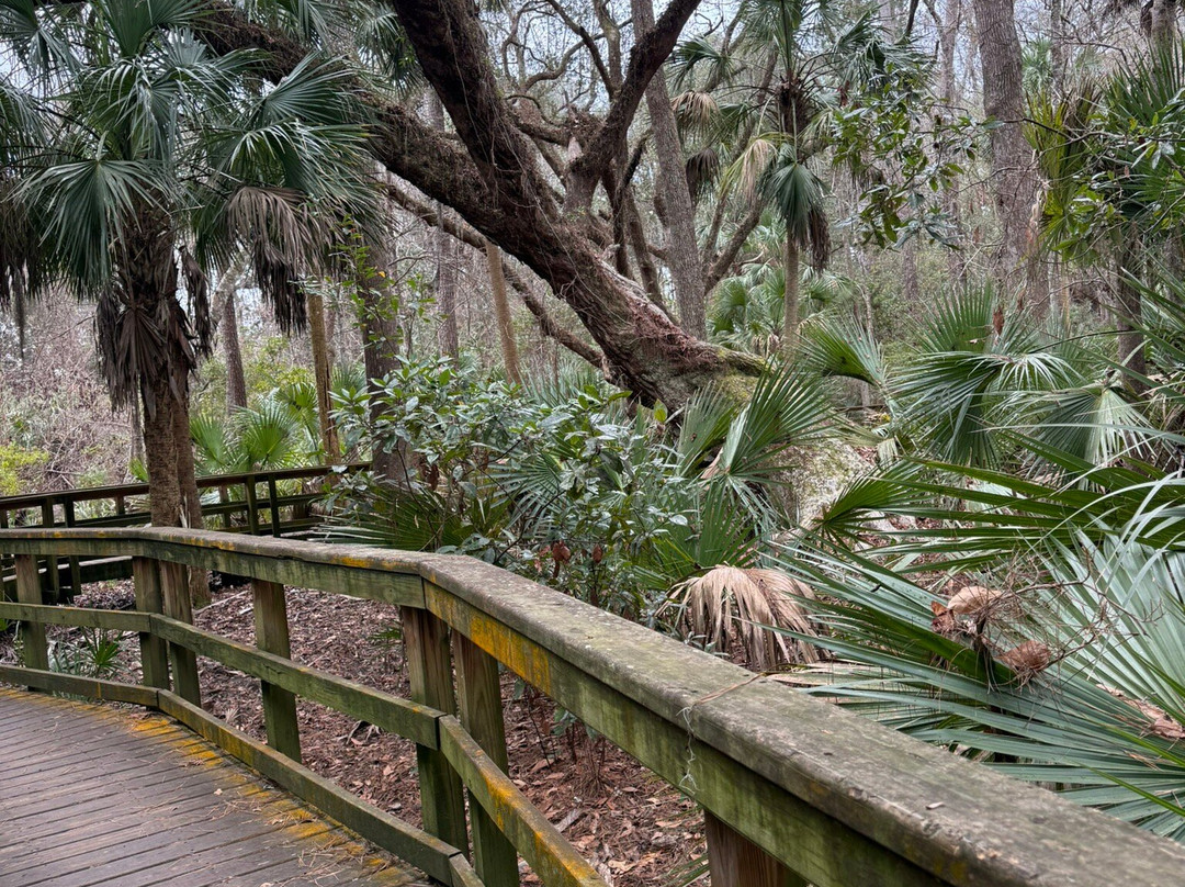 Sea Pines Forest Preserve-希尔顿头岛必去景点